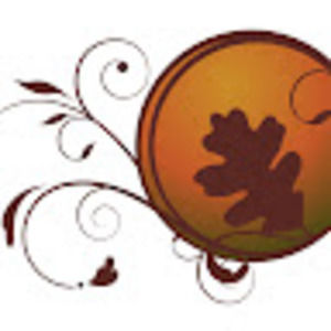 Meet your Posher, Jacqueline